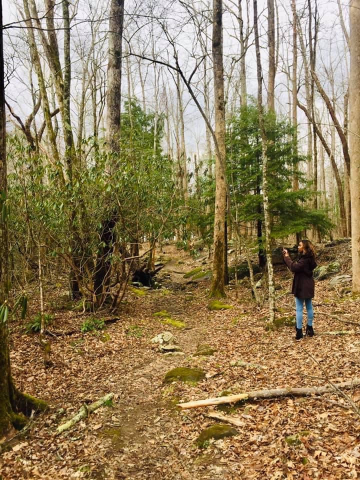 30 Min Spiritual Insight Session of your choice